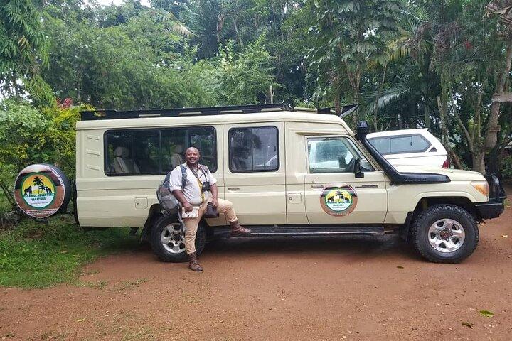 5 Days Gorillas & Chimpanzee Trekking Safari in Uganda