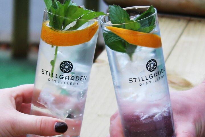 Gin School & Cocktail Masterclass em Dublin com comida