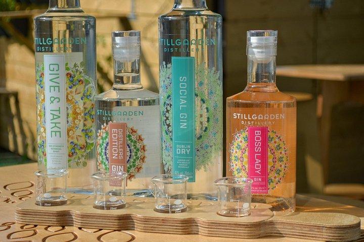 Gin School & Cocktail Masterclass em Dublin com comida