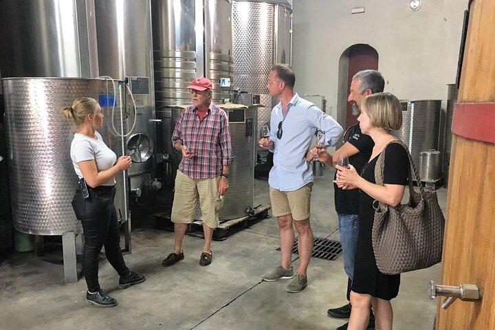 Private Full Day Vin Tour i Provence