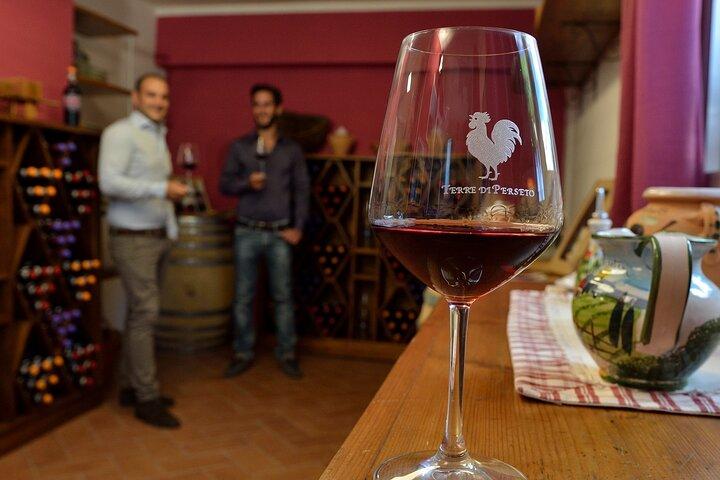 Proeverij van 4 wijnen en 2 olijfolie in de Chianti-wijnmakerij met rondleiding