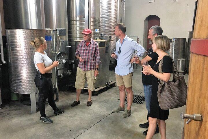 Marseille Shore Excursion - Full Day Wine Tour in de Provence
