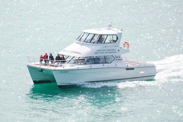 Akaroa Dolphins ~ Croisière dans la nature du port