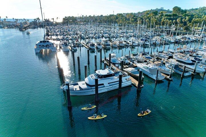 Excursion en kayak dans le port de Santa Barbara (2 heures)