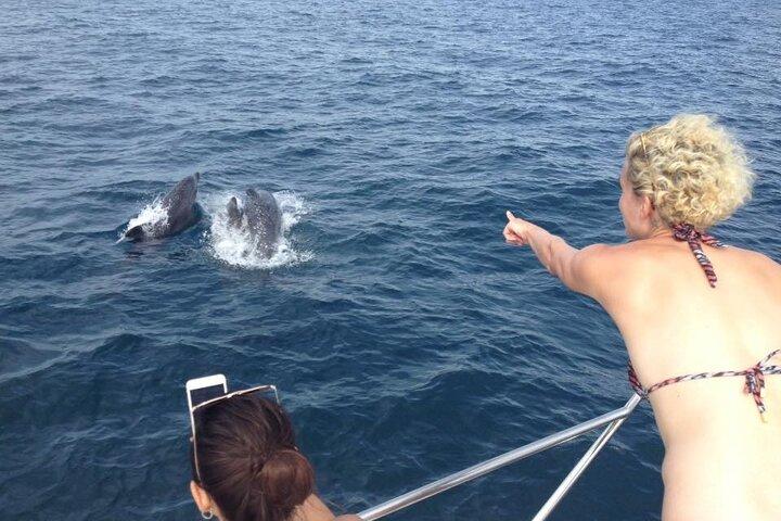 ラゴスでのドリンクとニブル付きの半日プライベート クルーズ