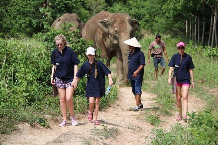 サムイ島：最大の象の保護区、エレファントネイチャーケア