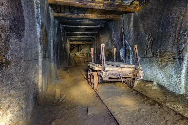 クラクフからのアウシュヴィッツとヴィエリチカ岩塩坑の 1 日ツアー