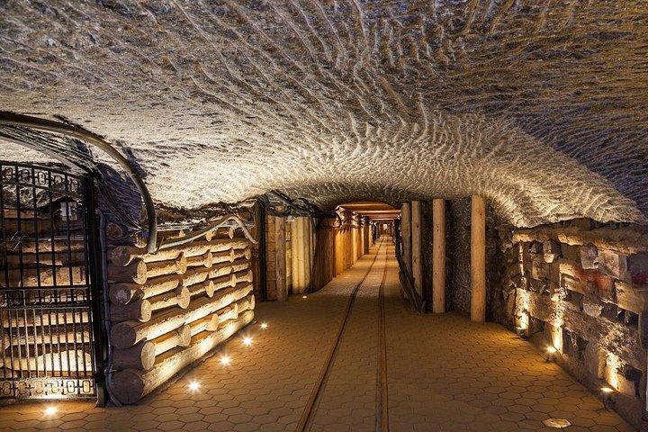 クラクフからのアウシュヴィッツとヴィエリチカ岩塩坑の 1 日ツアー