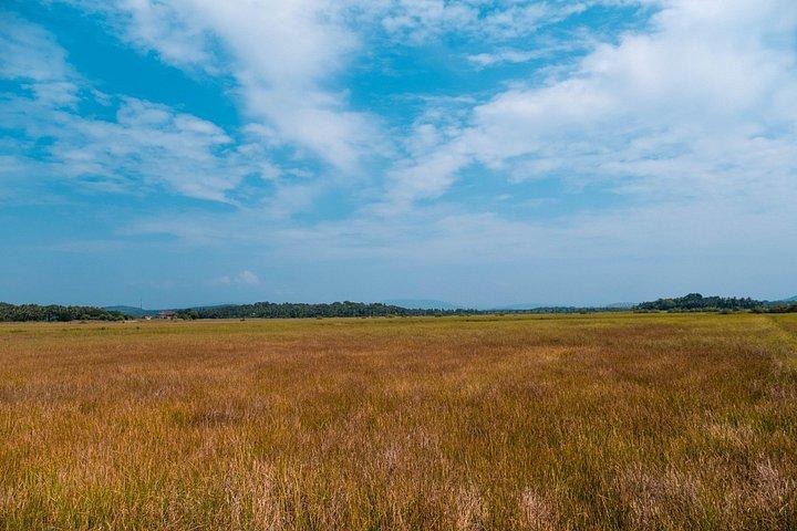 Make It Happen による Divar Island のクロニクルとエコーズ
