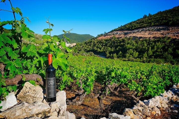 Excursion d'une demi-journée de Dubrovnik à Konavle avec dégustation de vins