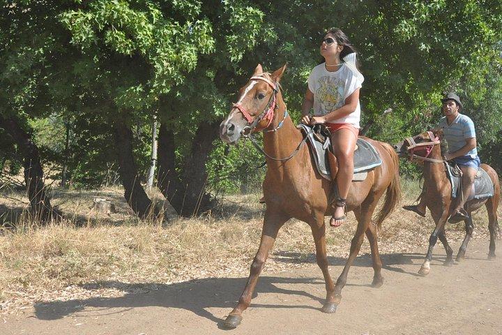 Fethiye Horse Riding Experience