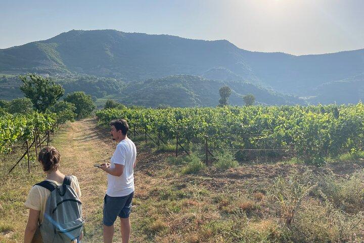 Berat | Storia e cibo locale