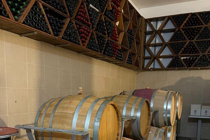 Durres & Wine Tasting Tour