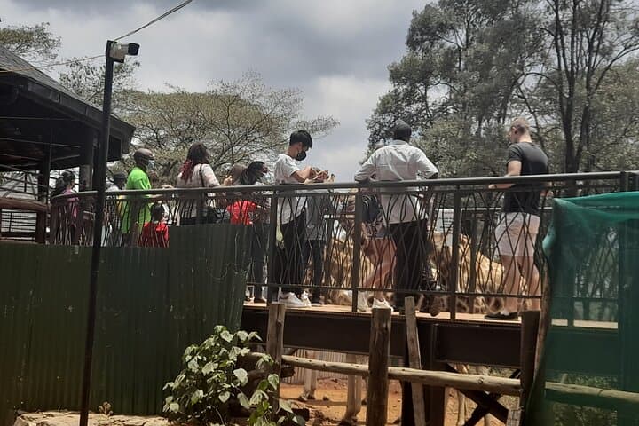 Day Tour to Nairobi national park, Elephants, and Giraffe Center