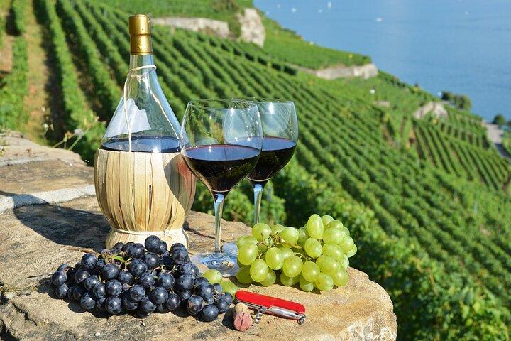 Vigneti e ostriche di Peljesac - Gita giornaliera privata dal veicolo Dubrovnik-Mercedes