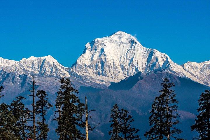 Nepal 12 Day Mohare Danda Trek From Kathmandu With Guide