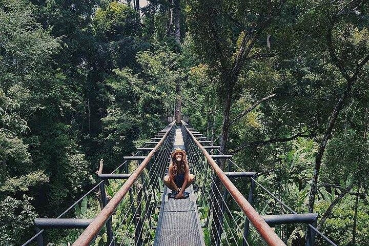 Tirolesa Hanuman World y Skywalk Phuket