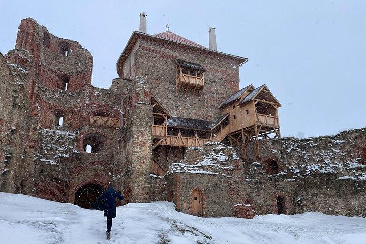 リガから宮殿と中世の城への1日プライベート旅行
