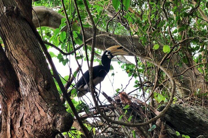 Noleggio barche Longtail a Koh Hey da Phuket