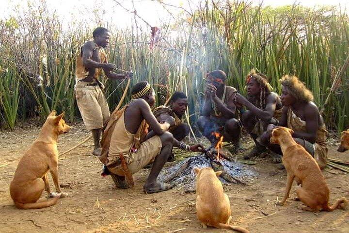 3-dages privat Lodge-safari til Eyasi-søen og Ngorongoro-krateret