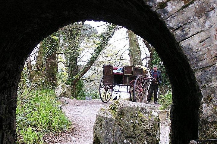 Excursion d'une journée au Ring of Kerry depuis Killarney