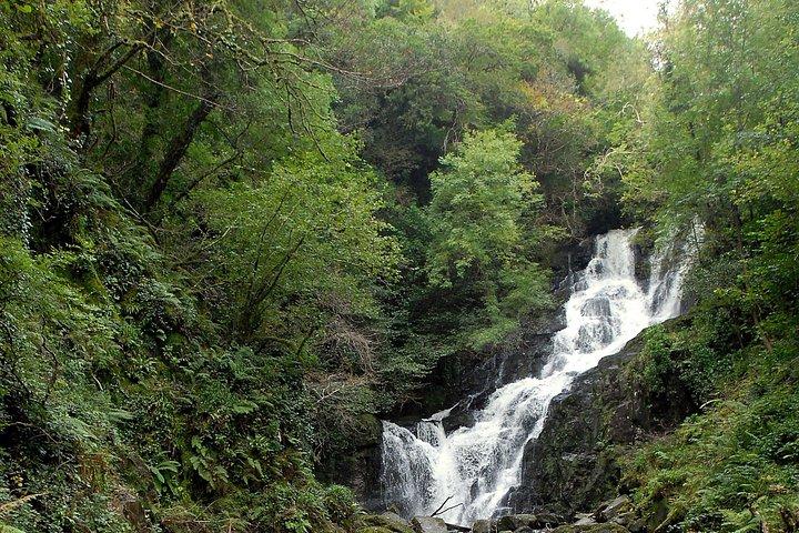 Excursion d'une journée au Ring of Kerry depuis Killarney
