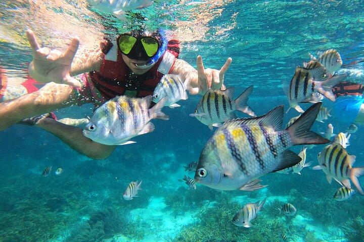 Excursão VIP Semiprivada de 3 Horas Isla Mujeres Experiência Completa de Snorkeling