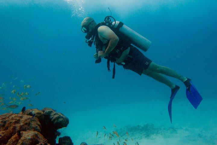 Scuba Diving (1st time) in Cancun Beginner's WELCOMED!