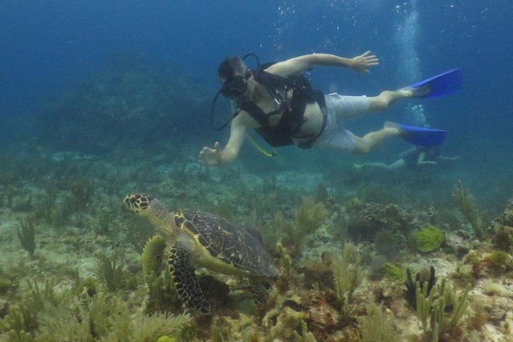 Scuba Diving (1st time) in Cancun Beginner's WELCOMED!