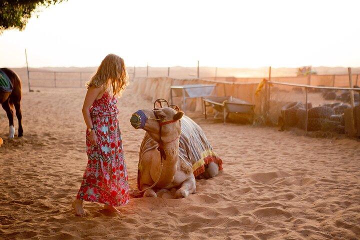 Safari en soirée dans le désert de Dubaï - Privé