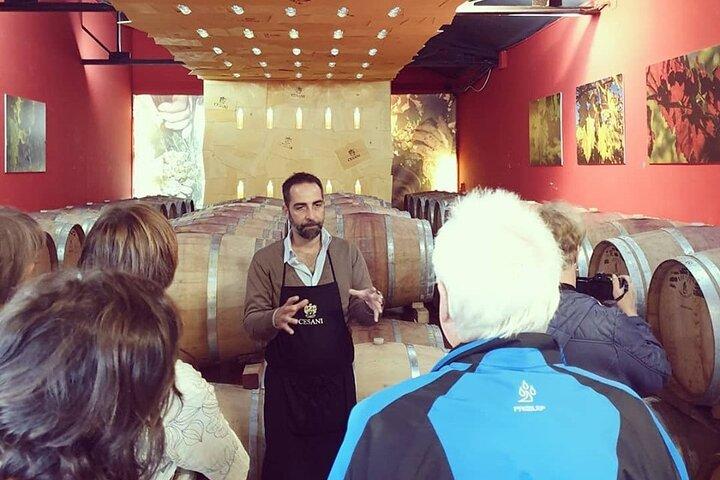Cesani Wine Experience