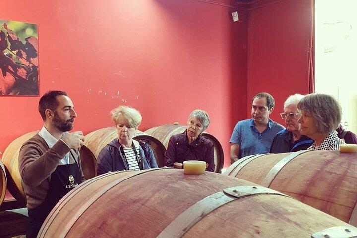 Cesani Wine Experience