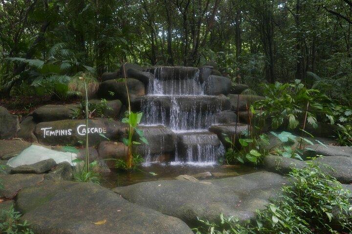 Privétour: natuur- en avontuurtour door Singapore