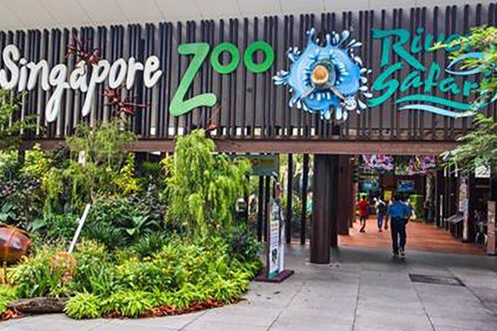 Tour privado: Singapur en día completo para familias con niños