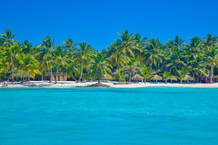 Saona Island Full-Day All-Inclusive Tour from Santo Domingo