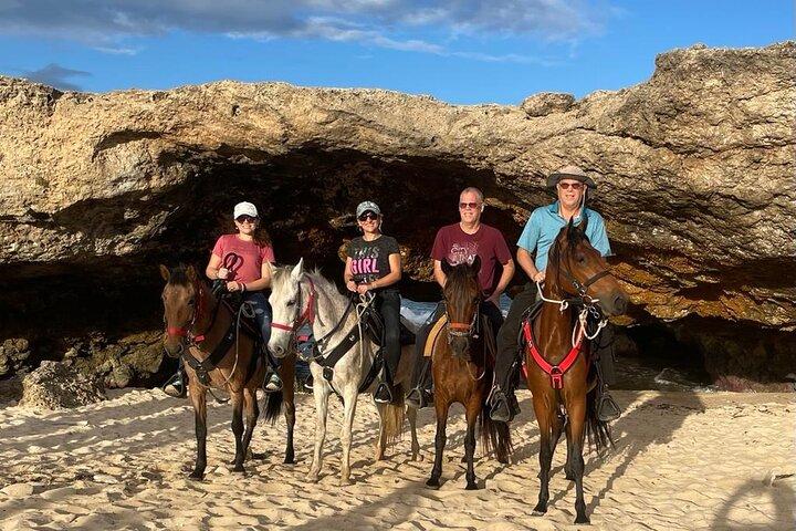 Balade à cheval de 2 heures sur le petit pont naturel d'Aruba