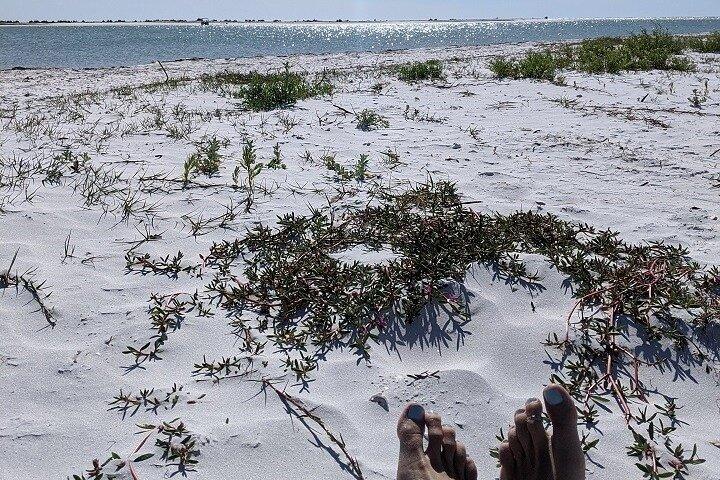 Shell Key-veerboot van Ft. DeSoto-boothelling in Tierra Verde, FL