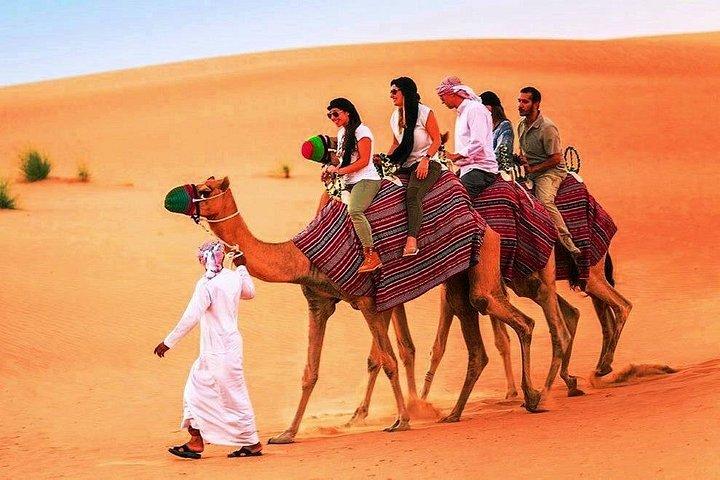 Safari en soirée dans le désert de Dubaï - Privé
