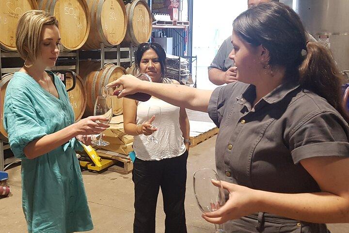Hunter Valley vin tur + frokost, gin, ost, chokolade fra Newcastle