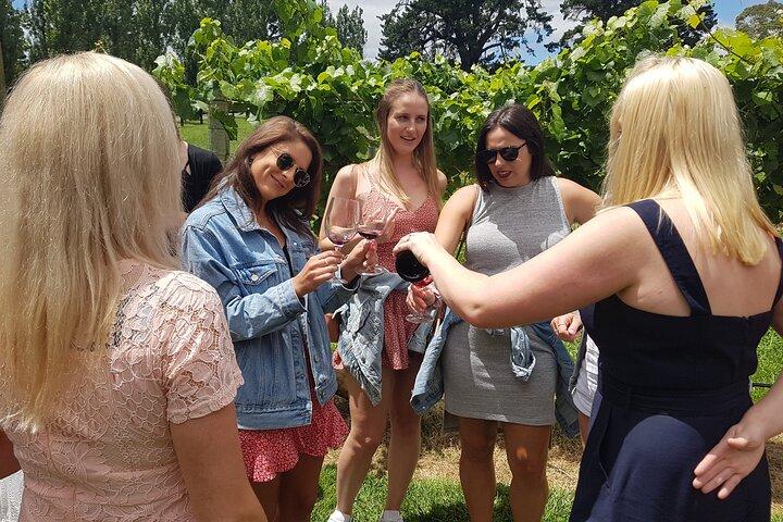 Hunter Valley vin tur + frokost, gin, ost, chokolade fra Newcastle