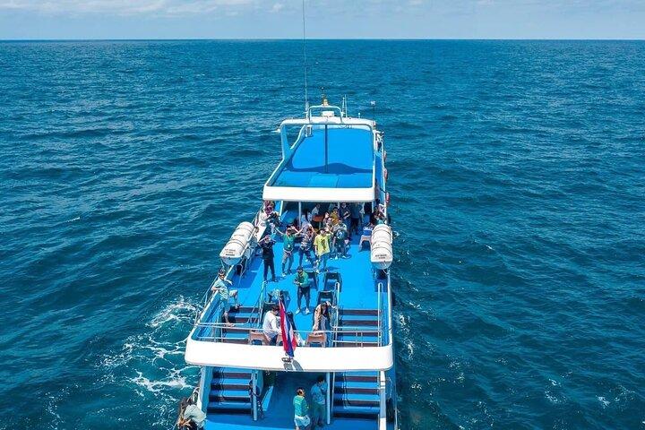 Phuket a la isla Phi Phi por Phi Phi Cruiser: incluye traslado de recogida