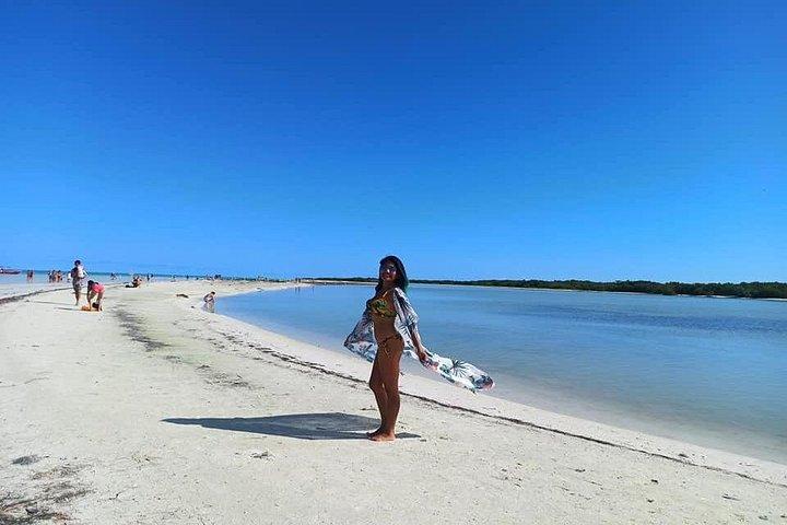 Holbox Punta Mosquito The Best Virgin Beaches from Cancun