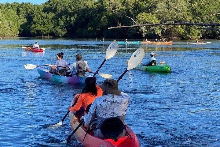Kayak Through the Mangroves