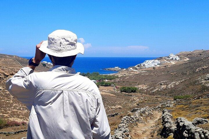 Mykonos halvdagsvandringsäventyr