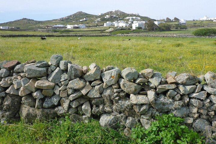 Mykonos halvdagsvandringsäventyr