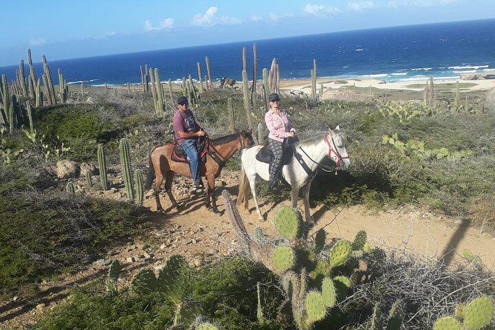 2-timers ridetur til Little Natural Bridge i Aruba