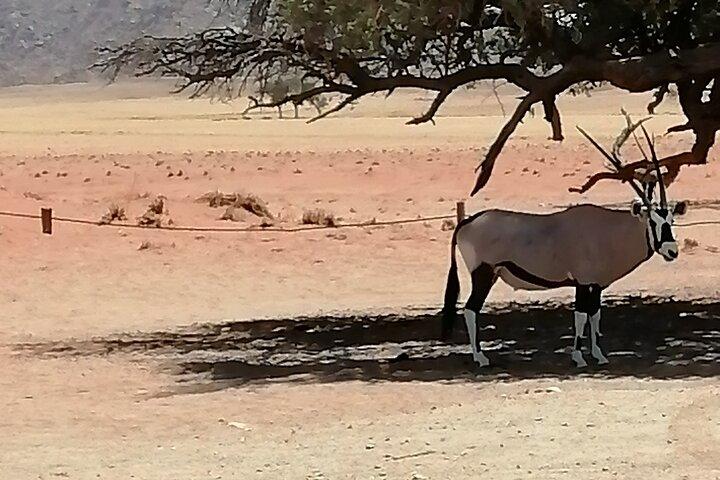 3-tägiges malerisches Sossusvlei-Abenteuer in Namibia ab Swakopmund