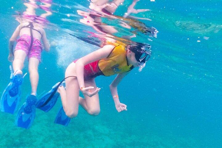 Snorkel com transporte de Cancun