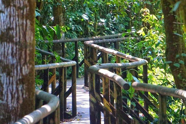 双眼鏡付きオールインクルーシブ国立公園マヌエルアントニオ
