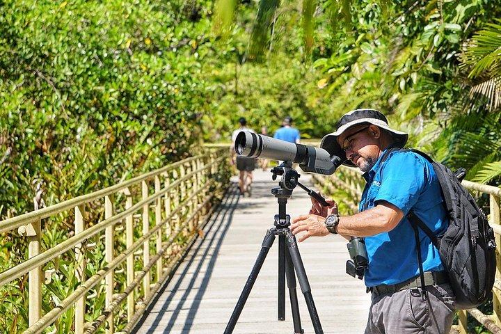 双眼鏡付きオールインクルーシブ国立公園マヌエルアントニオ